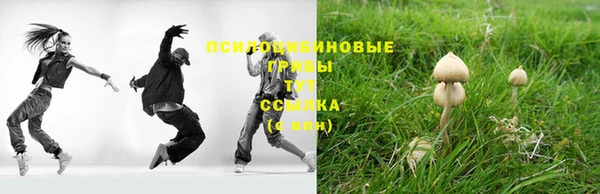 гидра Михайловск