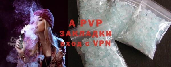 гидра Михайловск