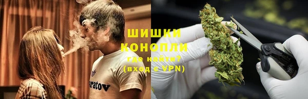гидра Михайловск