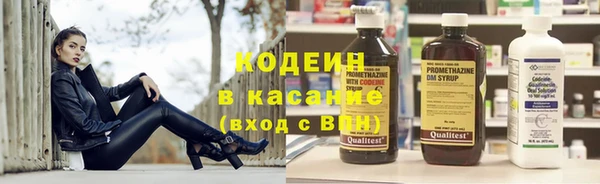 шишки Надым