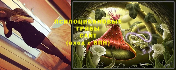 гидра Михайловск