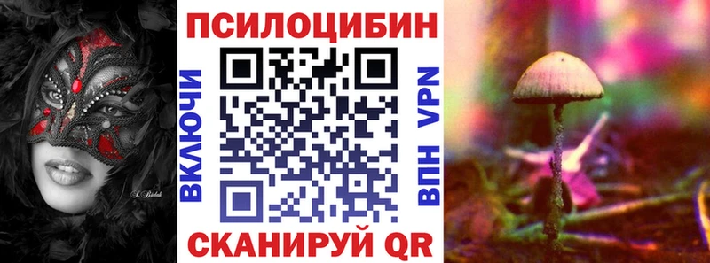 Купить закладки  Лукоянов  Псилоцибиновые грибы Cubensis 